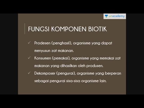 Komponen Biotik (Biologi - SBMPTN, UN, SMA)