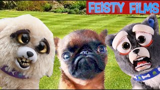 Feisty Puppies Gone Wild: Unleashing the Chaos! by Feisty Films 2,991 views 5 months ago 9 minutes, 8 seconds