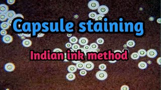 Capsule Staining - Indian ink method