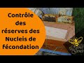 Apiculture Mai 2021 Vérification réserves nucléis