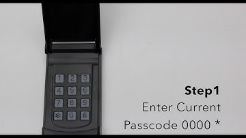 Skylink Keyless Entry Model KN-318 - Changing Passcode