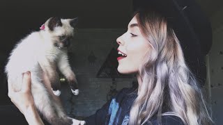Life's been shitty but I got a kitty | A mental health chat