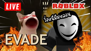 พาตัวละครพี่แหนมมาวิ่งหนีมีม !! | Evade (Roblox)