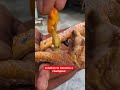 solution become a champion #aseelbirds #roosterfarm #ytshorts #chicken #shorts #shortsfeed #birds