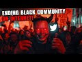 Just in elon musk is killing black twitter this way  black history documentary