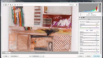 Learn about Camera Raw - Basic Tab - in Adobe Photoshop Elements 10