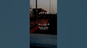 قال يا ابليس مالك الا تكون مع الساجدين |هزاع البلوشي #القران_الكريم #quran #راحة_نفسية #تلاوة_خاشعة