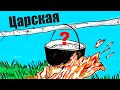 Царская уха! Чем ценится, из чего готовится и почему она Царская?