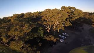Testing the Kea with Flycolor X-cross
