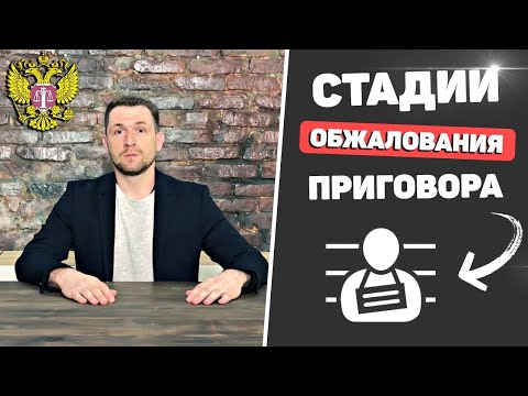 Сколько раз можно обжаловать приговор?