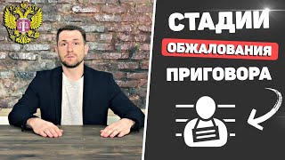 Сколько Раз Можно Обжаловать Приговор?