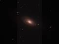 The Sunflower Galaxy Captured With My 11 Telescope Telescope Astronomy Space