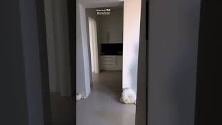 travis barker & kourtney kardashian 🎃 2023 halloween