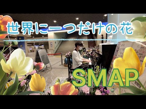 【ストリートピアノ】@SMAP『世界に一つだけの花』を耳コピ演奏！ #スマップ #槇原敬之 #piano #神戸 #世界に一つだけの花 #マッキー