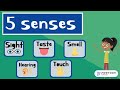 Understanding the Five Senses