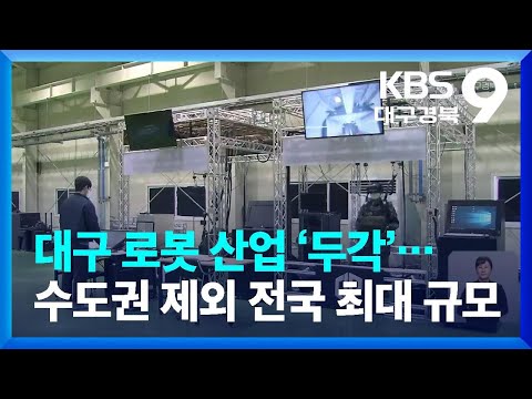 대구 로봇 산업 두각 수도권 제외 전국 최대 규모 KBS 2022 04 01 
