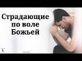 О страдающих по воле Божьей. В. Дорошенко. МСЦ ЕХБ