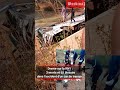 🔴 Drame sur la RN1 : 3 morts et 55 blessés dans l'accident d'un car de transport