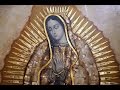 The Rise of New Spain: Conquest, Culture, and Cathedral
