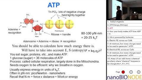 Biophysics 401 Lecture 5: How to make and use ATP