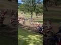 Unadilla 2 Amateur race supermini crash #shorts #motovlog #moto #offroad