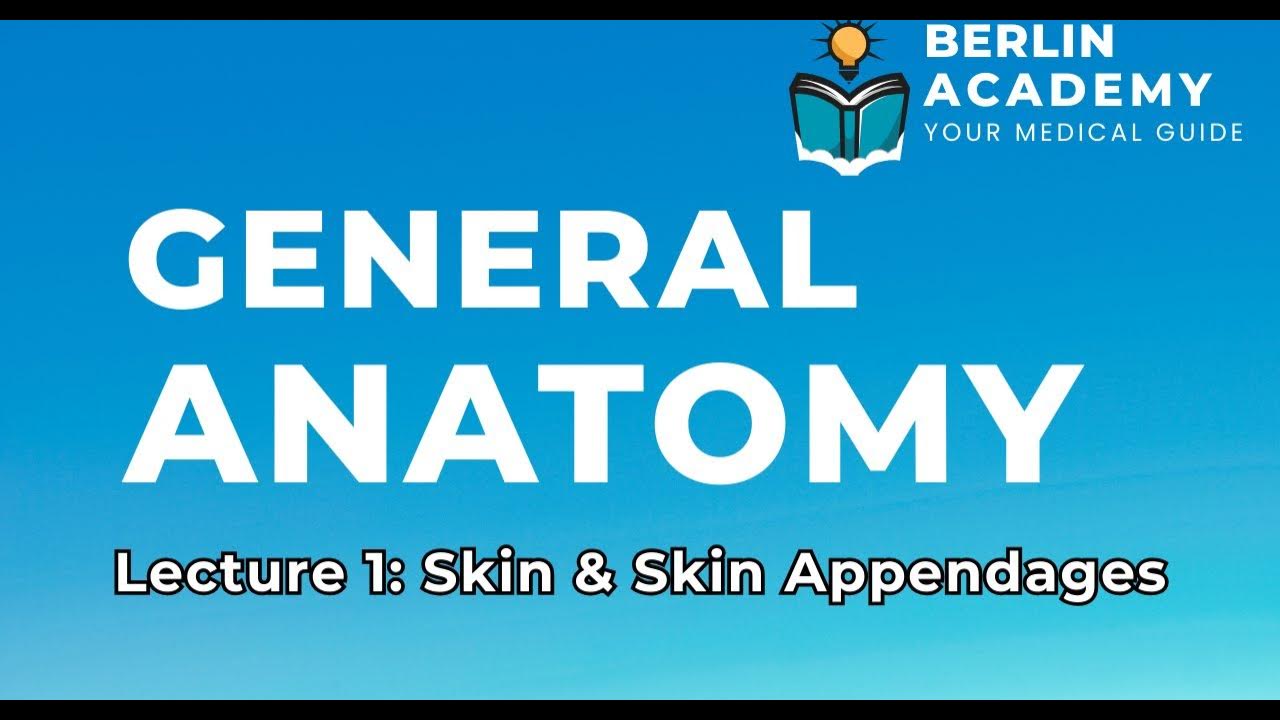 Skin Skin Appendages Biology Diagrams