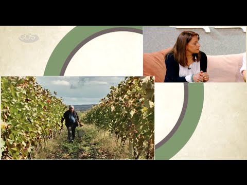 როგორ ჩავაყენოთ ეთნოლოგია ტურიზმის სამსახურში?