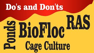 Biofloc Do's and Don'ts | Kya Karna Chahiye... Kya Nahi Karna Chahiye