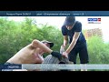 Download Среднюю дамбу украсит гусеница Среднюю дамбу украсит гусеница
