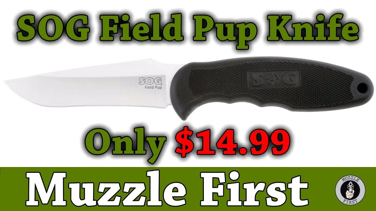 SOG Field Pup Knife On Sale YouTube