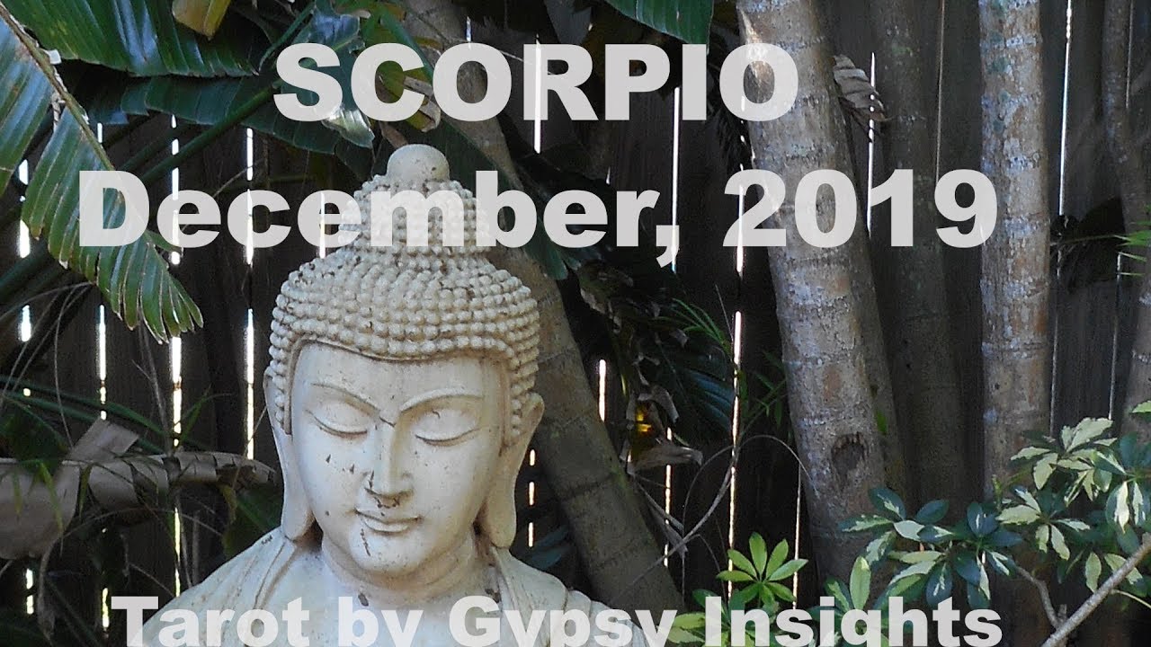Scorpio THIRD PARTY MESS! Late November 2019 to December 2019 Tarot