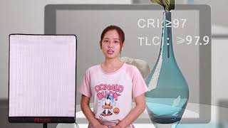 FalconEyes 100W Roll-Flex LED Photo Light RX-18TD screenshot 5