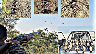 28th February 2024 | Best Duck Hunting Video | Own Vines team