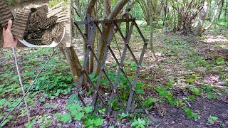 видео: Нашёл мини колхоз в лесу! Разгребаю орудия труда предков. Ищу заново металлолом который спрятал! картинка: Нашёл мини колхоз в лесу! Разгребаю орудия труда предков. Ищу заново металлолом который спрятал!