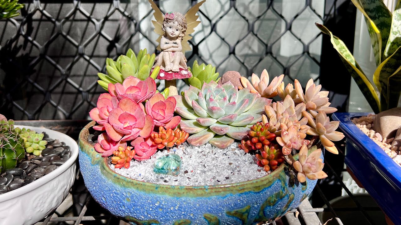 Succulent Arrangement in Glazed Ceramic Pot YouTube