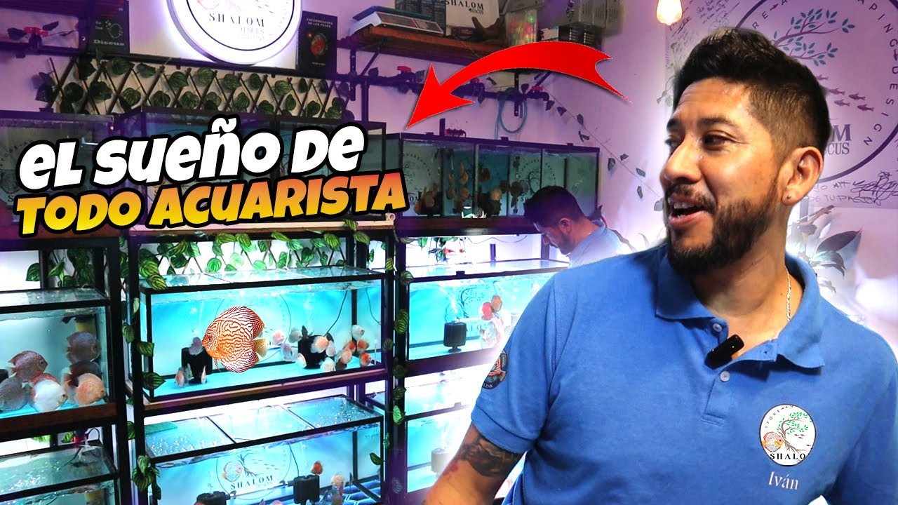 Iván tiene MÁS de 500 Peces en sus ACUARIOS 🤯
