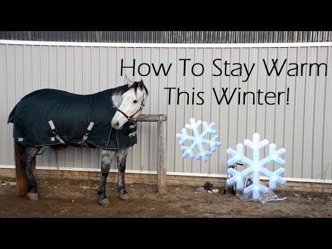 How to Stay Warm This Winter with Your Horse!
