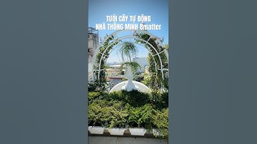 Hệ thống tưới cây tự động, điều chỉnh linh hoạt theo mọi nhu cầu tại Nhà Thông Minh Quận 5 - 8matter