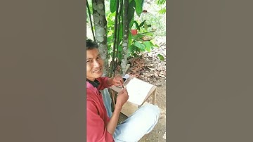 1001 KISAH BURUNG🐦 SERINDIT DI SETIAP PENGGEMARNYA