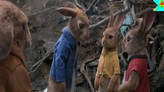 James Corden   I Promise You from Peter Rabbit 2018 Lyrics Video