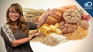 Do Carbs Have Their Own Taste? Do Carbs Have Their Own Taste?