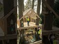 Building a Treehouse Garden | Elevated Growing Space | 30 Days