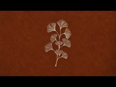 Andrea Vanzo - Autumn Journey (Official Visualizer)