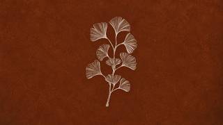 Andrea Vanzo - Autumn Journey (Official Visualizer)