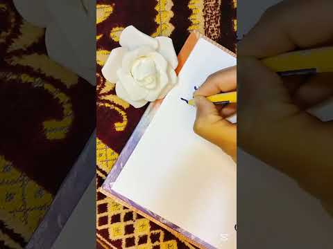 الكتابة الرايعة بخط الرقعة