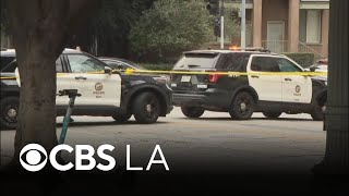 Famous Downtown LA stabbing suspect tied to 2025 homeless encampment murder case Wealth