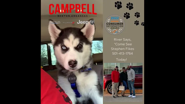 River Says Come See Stephen Fikes  #campbellcars
