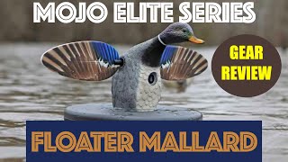 MOJO Elite Series Floater Mallard REVIEW!
