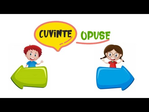 Video: Cum Se Scrie Suma în Cuvinte