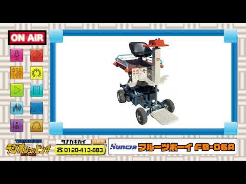 サンワ フルーツボーイ FB-05A タナキカラジオ